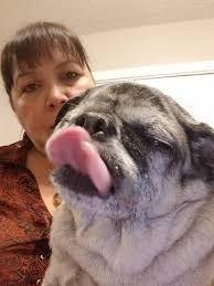 Saw this string bean. Lisa