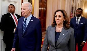 Image result for Bidens diversa