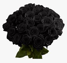 Maybe you would like to learn more about one of these? Online Black Roses For Sale Red Rose Flower Hd Png Download Kindpng