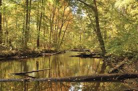 Although this painting may represent a specific place, the artist was less interested in defining recognizable details than in conveying nature's immaterial essence, here expressed in. Best Places To Photograph In New Jersey