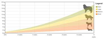 Methodical Temperature Chart For Pregnant Dogs Puppy Charts