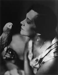 Search the Collection