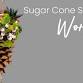 Sugar Cone Succulent | Workshop | Salisbury at event image