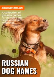 In 2007, putin reportedly used his black labrador 'koni' to intimidate german chancellor angela merkel, who is terrified of dogs after being bitten by one as a child. 100 Russian Dog Names The Coolest Soviet Puppy Name Ideas