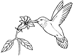 Free hummingbird coloring pages to print for kids. Printable Easter Coloring Page Hummingbird Bird Coloring Pages Animal Coloring Pages Hummingbird Colors