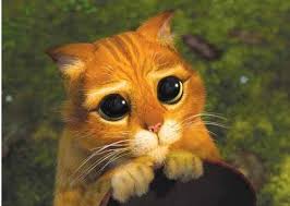 Pin On Puss In Boots Find images of cartoon eyes. pin on puss in boots