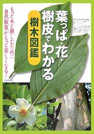 楽天ブックス 葉っぱ 花 樹皮でわかる樹木図鑑 池田書店 9784262136165 本