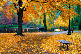 It's everyone's favorite season for reason. Fun Fall Activities Boston Magazine
