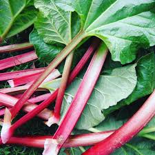 Foodnfarm Magwas Obst Ist Und Was Gemuse Ist Doch Klar Oder Jein Klar Ist Nur Bei Gemuse Werden Stangel B Rhubarb Recipes Rhubarb Best Rhubarb Recipes