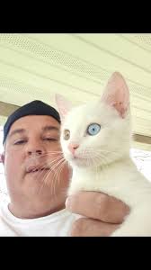 Lost Cat in Dundalk Area