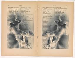 Bildergebnis für Robert Flynt