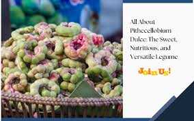 Image result for Pithecellobium dulce