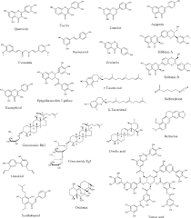 However, no solid evidence exists either way regarding its effectiveness against reducing prostate cancer rates. Pdf Natural Compounds In Prostate Cancer Prevention And Treatment Mechanisms Of Action And Molecular Targets Semantic Scholar