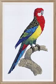 Cross stitch only skill level: Eastern Rosella Bird Cross Stitch Patterns Honeyeater Crafts
