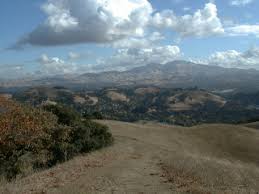 #about me #briones regional park #martinez california #cows #horses #nature is so wonderful. Bay Area Hiker Lafayette Ridge Trailhead Briones Regional Park