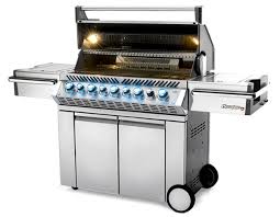 Nothing says quality family time than grilling some meat or fish on the lawn while the kids are playing at the backyard or relatives are mingling with one another. Napoleon Prestige Pro 665 Rsib Gas Grill Ng Custom Home Fireplaces
