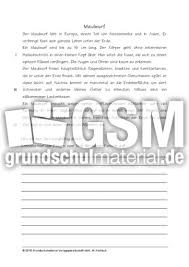 Mithilfe von zahlreichen anschaulichen bildern, audios und vielen erklärvideos wird dir der neue stoff aus der schule noch einmal ganz einfach und schritt für schritt erklärt. Sachtexte Tiere 1 Tiere Kurze Sachtexte Sachtexte Tiere Sachthemen Hus Klasse 3 Grundschulmaterial De