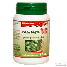 Dacia plant tinctura talpa gastei, 50 ml. Talpa Gastei X 70 Capsule