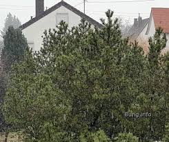 Kälter als 2021 waren also nur noch 1929 mit 4,5 grad und 1903 mit durchschnittlich 4. Wetterprognose April 2021 Mittels Der 12 Rauhnachte