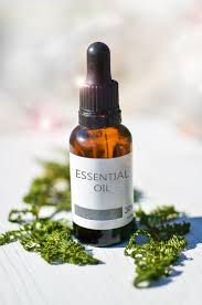 Image result for Essential Oils