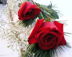 Image result for ‫عکس گل رزتکی‬‎