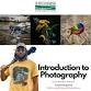Introduction to Photography: Wildlife Edition event image