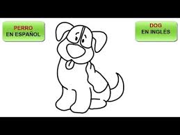 Como Dibujar Un Perro Y Aprende Como Se Escribe En Ingles Youtube