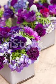Ftd offers a wide selection of wedding flowers to say congratulations or thank you for the invite, to be used as centerpieces at a rehearsal dinner, for the bride to hold while she walks down the aisle, or any other wedding need you may have. Purple Flower Centerpieces Stock Photos Freeimages Com