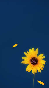 Yellow And Blue Flower Iphone Wallpaper Flower Iphone Wallpaper Sunflower Wallpaper Flower Wallpaper