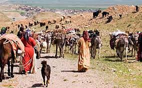 ‫وابستگان ایل قشقایی ...‬‎