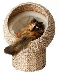 hasir evcil hayvan evleri evcil hayvanlar hayvan kedi malzemeleri