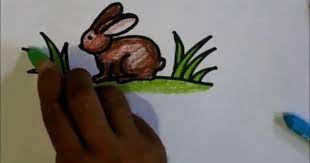 Kelinci hias adalah salah satu dari beberapa jenis kelinci kelinci hias ini biasa digunakan hanya untuk hewan peliharaan atau untuk di lombakan. How To Draw A Rabbit For Kids Tutorial Video Cara Menggambar Kelinci Untuk Anak Anak Atau Pemula Youtube Cara Menggambar Gambar Kelinci Gambar