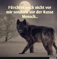 Furchtet Euch Nicht Vor Mir Sondern Vor Der Rasse Mensch Lustige Bilder Spruche Witze Echt Lustig Lustige Bilder Lustige Humor Bilder Zitate Tiere