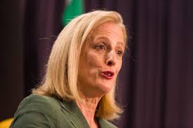 Coalition MP says women in child care 'not the same' as men in construction  during gender pay debate