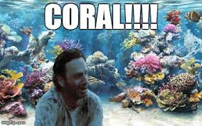 Coral Funsubstance Walking Dead Coral Walking Dead Funny The Walking Dead