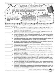 Patterns Of Partnership Lesson Plans The Mailbox Relationship Worksheets Symbiotic Relationships Science Worksheets
