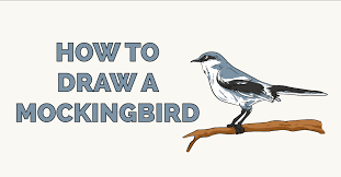 Florida panther, manatee cottonmouth snakes are drawn to water—something most homes have in florida. How To Draw A Mockingbird Really Easy Drawing Tutorial
