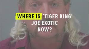 We did not find results for: Tiger King What Happened To Joe Exotic S Zoo Employees True Crime Buzz