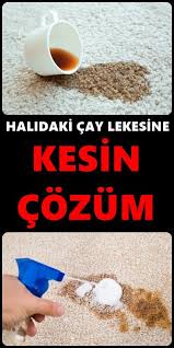 Halidaki Cay Lekesine Kesin Cozum Dog Bowls Cleaning Bowl
