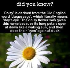 Pin By White Flint Florist On Century Seasonal Holiday Old English Words English Words Mums The Word