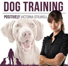 The one thing that sets kaajal apart from other. A List Of 100 Highly Popular Dog Trainers 2020 Esa Care