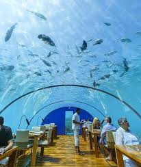 يمكنك الآن تناول الطعام تحت الماء في مطعم Ithaa Undersa في جزر المالديف