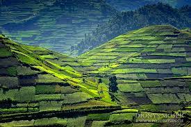 Maybe you would like to learn more about one of these? Fotogalerie Kategorie Uganda Landschaft Landscape Fotoreisen Ch