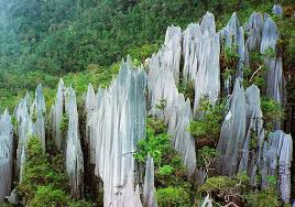 Tunku abdul rahman national park 5. Taman Negara National Parks Kelantan Tourist Destination Malaysia