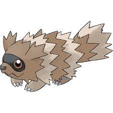 Zigzagoon Pokemon Bulbapedia The Community Driven Pokemon Encyclopedia