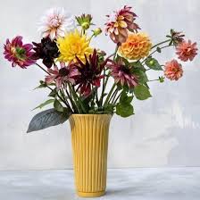 We did not find results for: Bergs Potters Daisy Vase Yellow Botanique Workshop