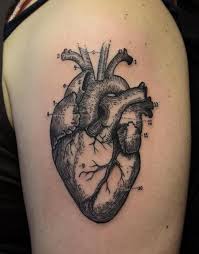 Tatouage Coeur Inkage Tatouage Coeur Tatouage Coeur Humain Modele Tatouage