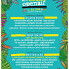 Infos zum szene open air 2020. 1
