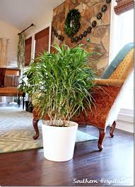 Check spelling or type a new query. Decorating With Live Plants