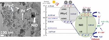Facile synthesis of Pd nanoparticles dispersed polypyrrole-carbon black/NiO  nanocomposite with enhanced photocatalytic degradation of colored and  colorless organic pollutants